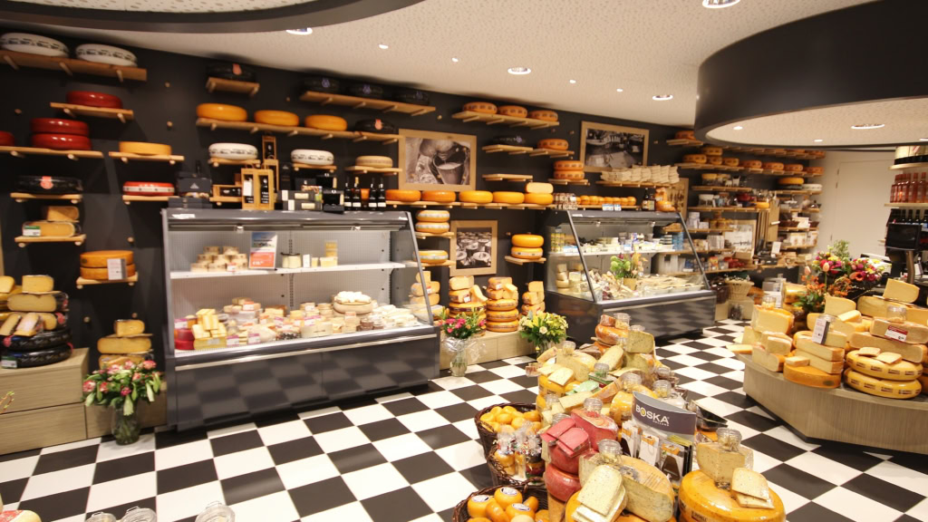 Costan Lion Cub Design